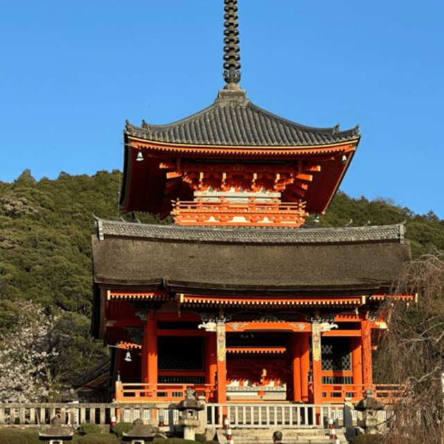 Kyoto: Full Day UNESCO And Historical Sites Private Car Tour - Accessibility Features
