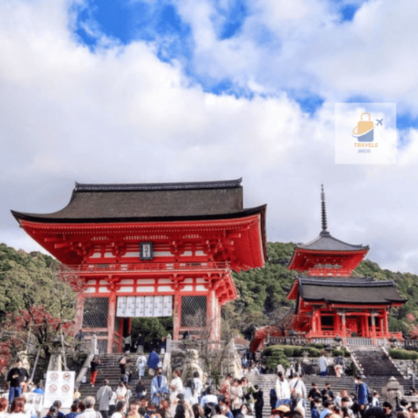 Kyoto: Full Day UNESCO And Historical Sites Private Car Tour - Important Travel Tips