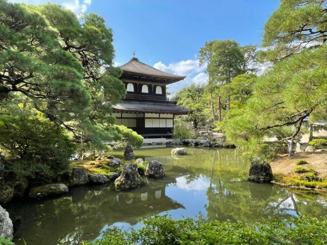 Kyoto: Fully Customizable Half Day Tour in the Old Capital - Pickup and Transportation Services