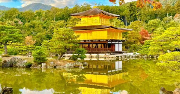 Kyoto: Fully Customizable Half Day Tour in the Old Capital - Optional Break at Charming Kyoto Cafes