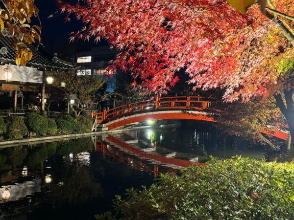 Kyoto: Fully Customizable Half Day Tour in the Old Capital - The Sum Up
