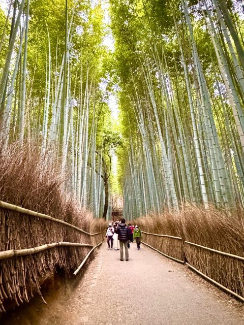 Kyoto: Fully Customizable Your Own Tour in the Old Capital - Tour Itinerary