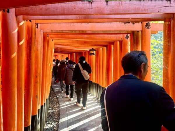 Kyoto: Fully Customizable Your Own Tour in the Old Capital - Additional Details