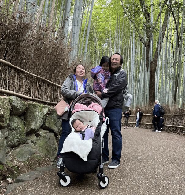 Kyoto: Fully-Customized One-day Private Tour - What You Can Expect from the Tour