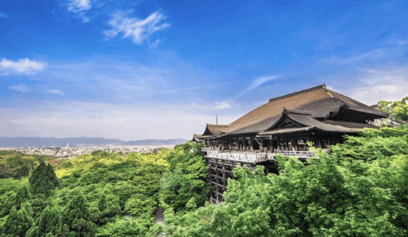 Kyoto: Fully-Customized One-day Private Tour - The Guides: Enthusiastic and Knowledgeable