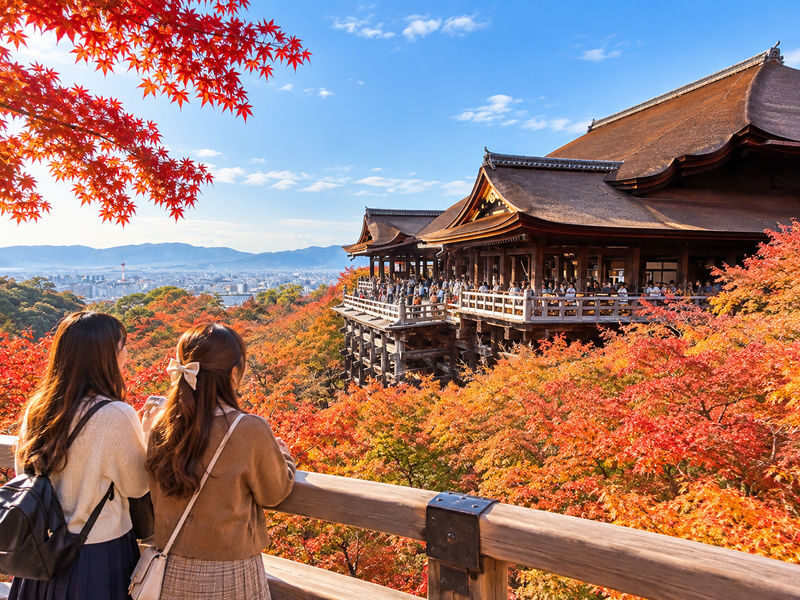 Kyoto Fushimi Inari, Arashiyama Bamboo Forest, Kiyomizu-dera Temple Day Trip from Nagoya (Choose one: A5 Kobe Beef Lunch or Pork Shabu-shabu) - At a glance