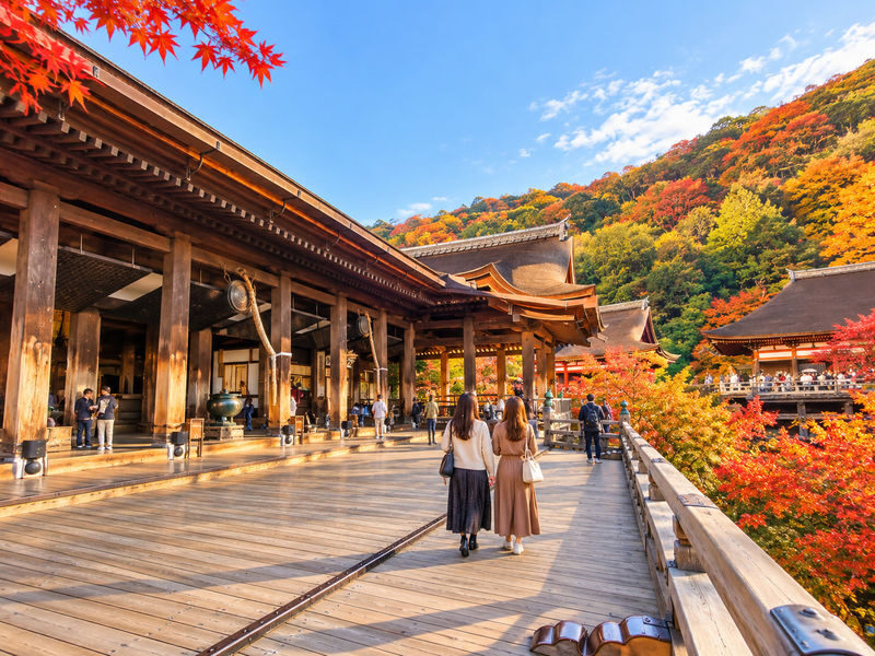 Kyoto Fushimi Inari, Arashiyama Bamboo Forest, Kiyomizu-dera Temple Day Trip from Nagoya (Choose one: A5 Kobe Beef Lunch or Pork Shabu-shabu) - Is the $66.25 starting price good value?