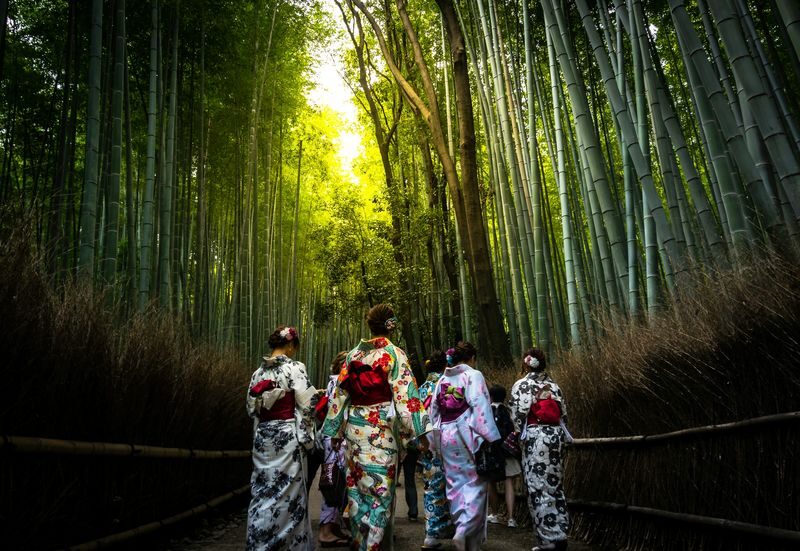 Kyoto Fushimi Inari & Arashiyama Bamboo Grove Morning Private Tour - Is $86.75 a fair starting price?