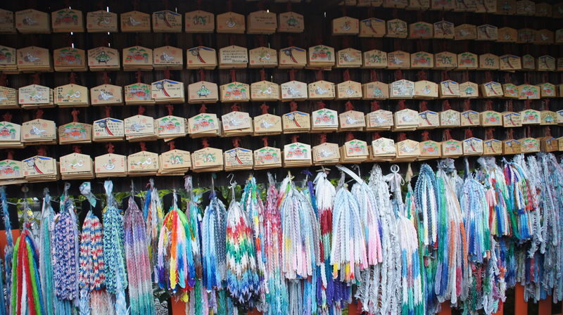 Kyoto Fushimi Inari Half-Day Cultural Walking Tour - Views worth the climb