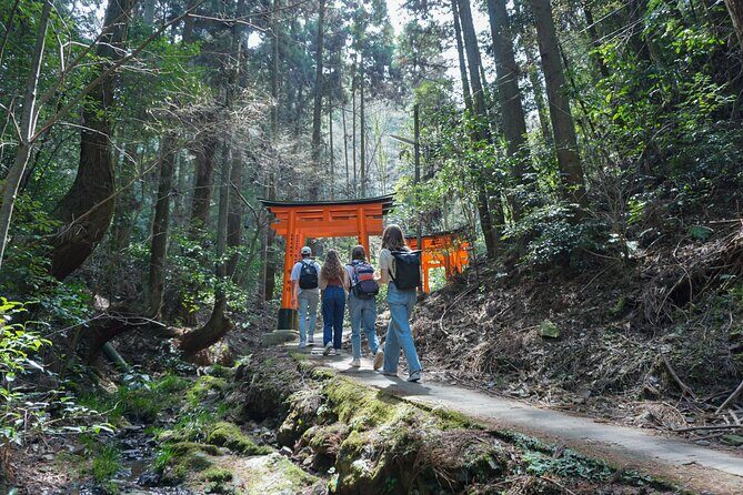 Kyoto: Fushimi Inari Hidden Hike (Private) - The Experience in Detail