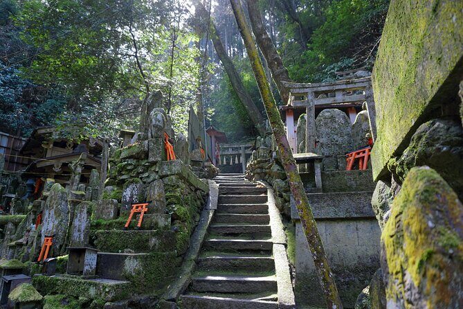 Kyoto: Fushimi Inari Hidden Hike (Private) - Final Thoughts