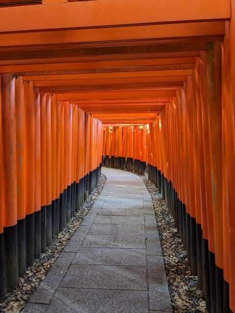 Kyoto: Fushimi Inari Shrine and Hidden Gems Guided Tour - An Overview of What to Expect
