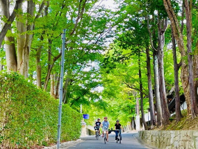 Kyoto: Fushimi Inari Shrine and Tofukuji Temple E-Bike Tour - Good To Know