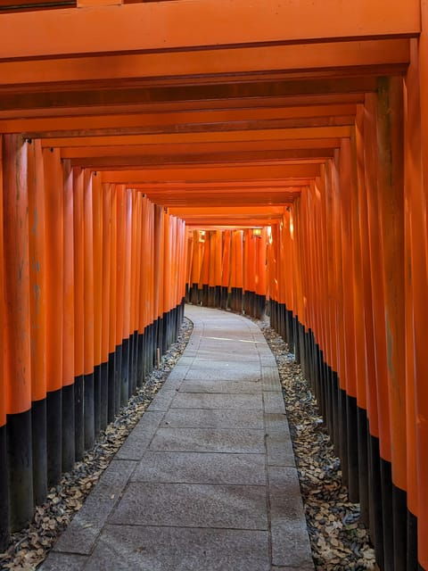 Kyoto Fushimi Inari Shrine: Break of Dawn Tour - Itinerary and Highlights