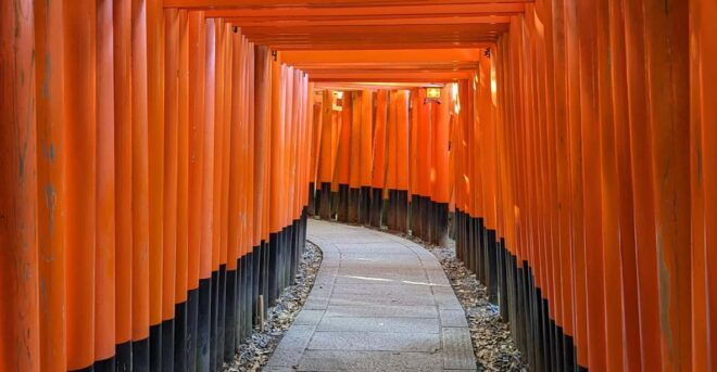 Kyoto Fushimi Inari Shrine: Break of Dawn Tour - Health and Safety Restrictions