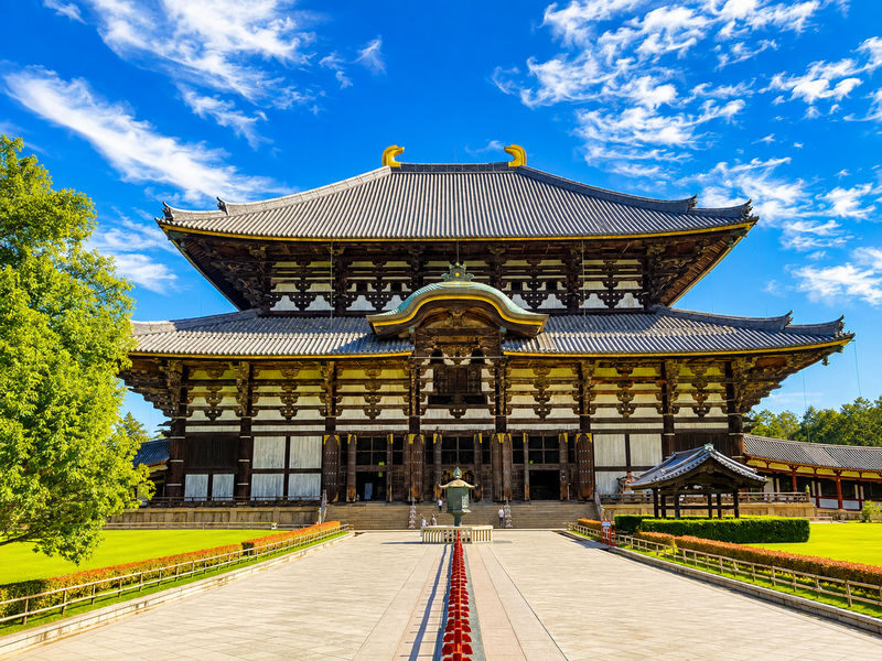 Kyoto Fushimi Inari Shrine Senbon Torii & Arashiyama Bamboo Forest Togetsukyo Bridge & Nara Park Todai-ji Temple One-Day Tour [Can upgrade to A5 Wagyu "Kobe Beef" (Departing from Osaka/Kyoto)] - Is $44.85 a good value?