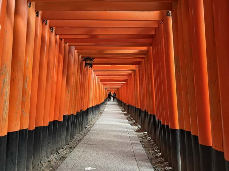 Kyoto: Fushimi Inari Shrine Walking Tour - Good To Know