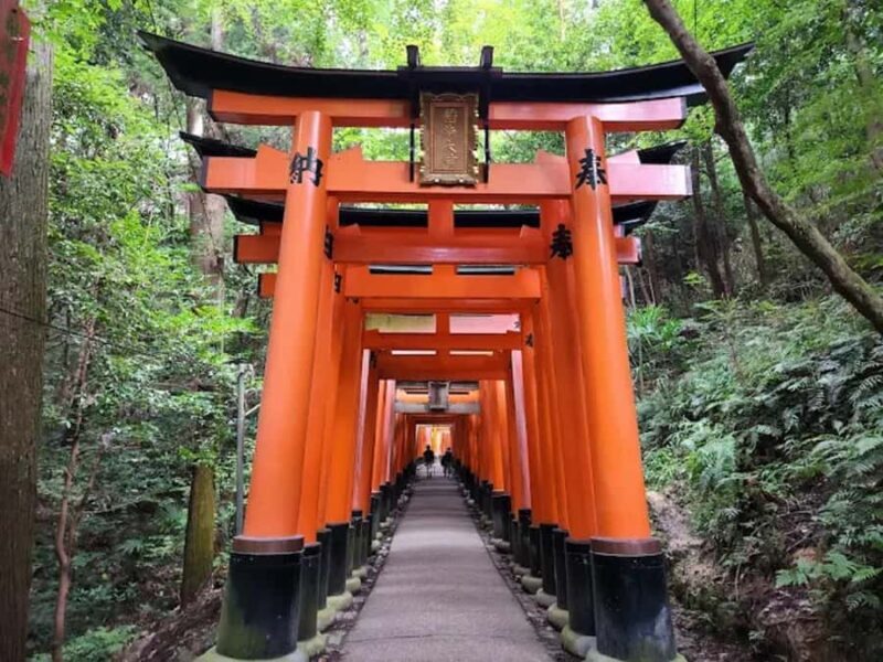 Kyoto: Fushimi Inari, Tea, Geisha Walk, and Crafts Day Tour - Practical Details and Considerations