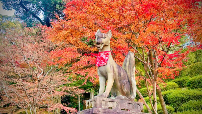 Kyoto: Fushimi Inari Walking Tour  Thousand Torii & Secret Paths - Final Thoughts