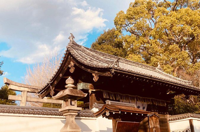 Kyoto Fushimi Sake Walking Tour - Who Should Consider This Tour?