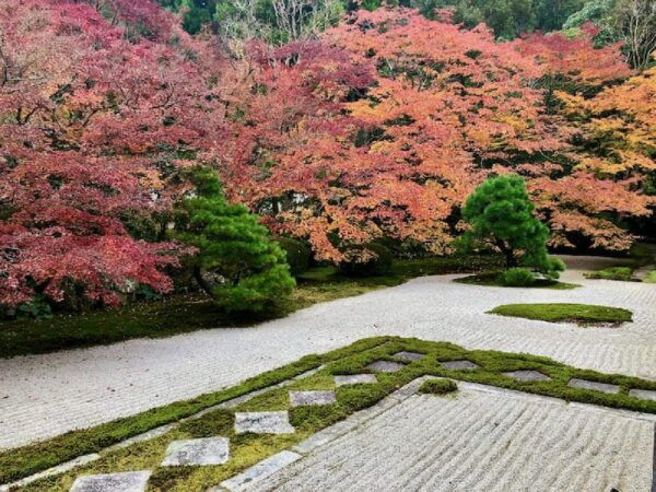 Kyoto: Garden Tour and Mini Garden Making Experience - Inclusions of the Experience