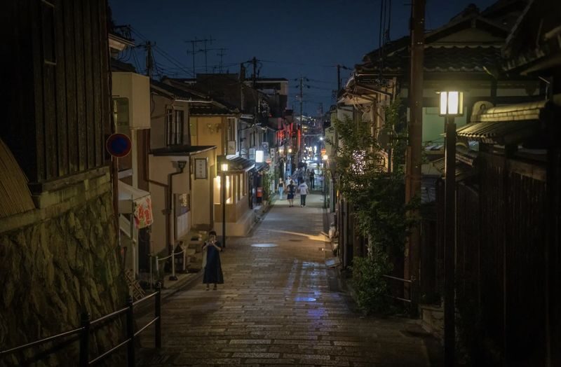 Kyoto: Geisha Dinner & Gion Cultural Walk - Practical details that can affect your plans