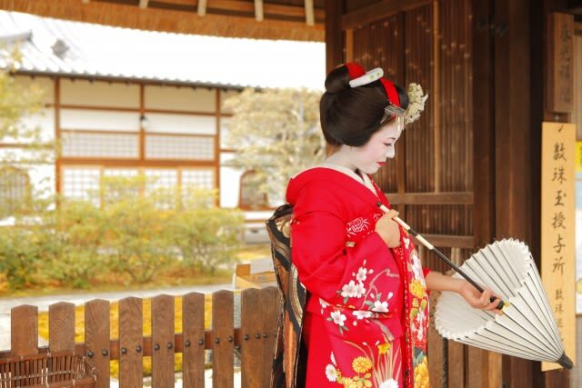 Kyoto Geisha Districts Half-Day Private Cultural Tour - A walk through districts with different purposes