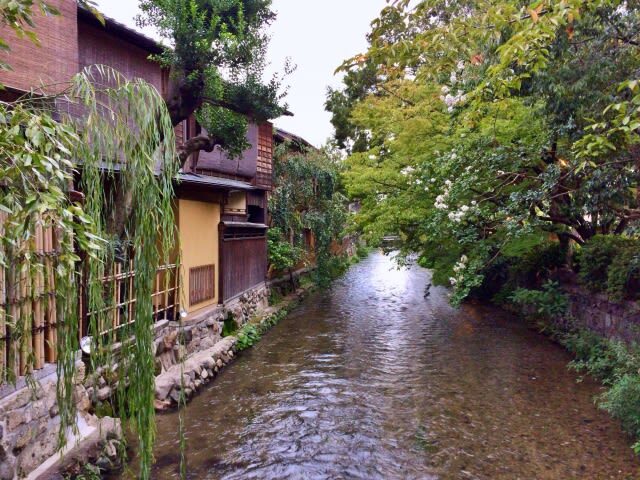 Kyoto Geisha Districts Half-Day Private Cultural Tour - Izumo-no-Okuni and the story behind the districts