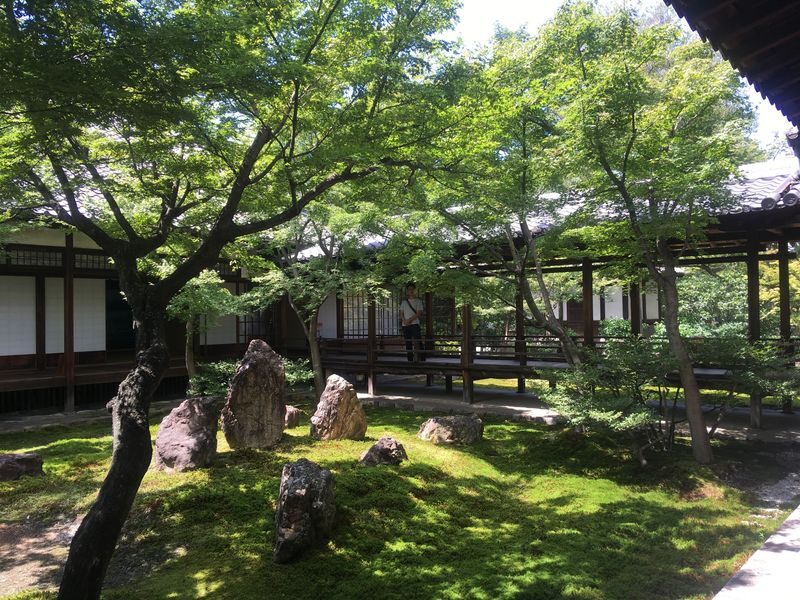 Kyoto Geisha Districts Half-Day Private Cultural Tour - Gion Kobu Kaburenjo and the working geisha world