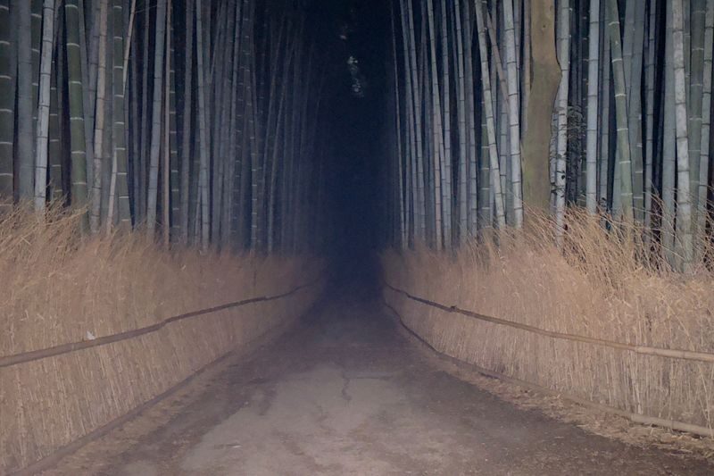 Kyoto Ghost Tour: Bamboo, Unsolved Mysteries & Dark Tales - Starting at Saga-Arashiyama Station