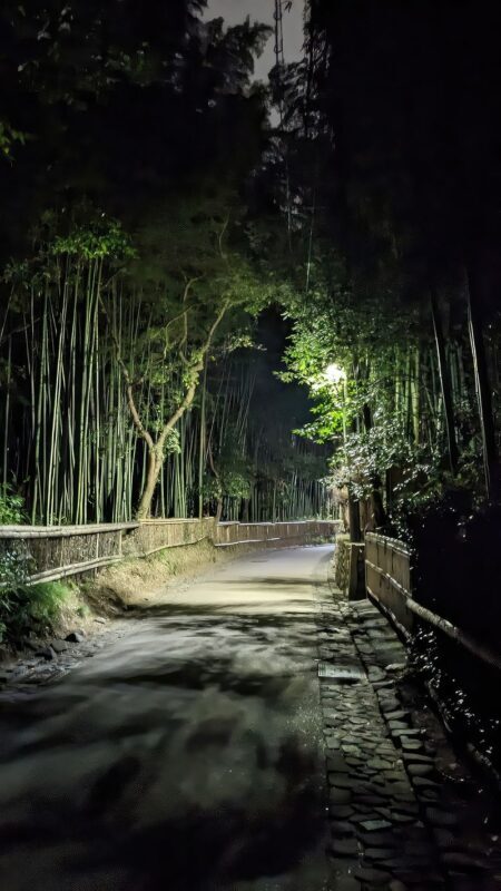 Kyoto Ghost Tour: Bamboo, Unsolved Mysteries & Dark Tales - The cursed shrine and bamboo paths