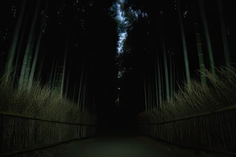 Kyoto Ghost Tour: Bamboo, Unsolved Mysteries & Dark Tales - What the 2.5-hour schedule feels like
