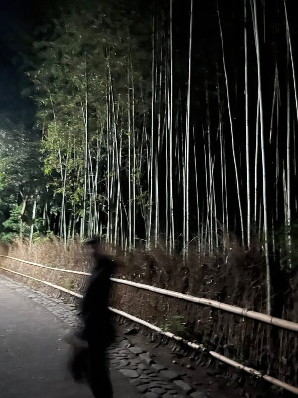Kyoto Ghost Tour: Bamboo, Unsolved Mysteries & Dark Tales - Is the price fair for the evening?