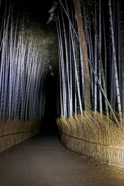 Kyoto: Ghost Tour - Legends, Dark Tales, Bamboo Forest Night - Final Thoughts