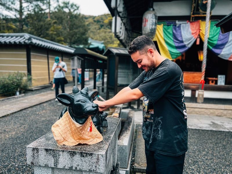 Kyoto: Gion and Geisha District Guided Walking Tour - What the guide adds