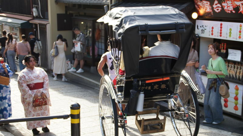 Kyoto: Gion and Geisha District Guided Walking Tour - Who should take this Gion walking tour?
