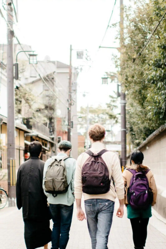 Kyoto: Gion Cultural Walk & Geisha Performance with Dining Options - A few details to settle before you go