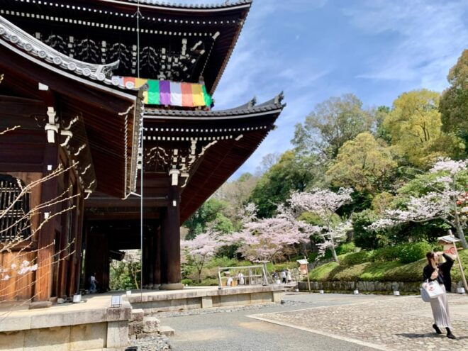 Kyoto: Gion District Walking With an Expert Local Tour Guide - Tour Features and Benefits