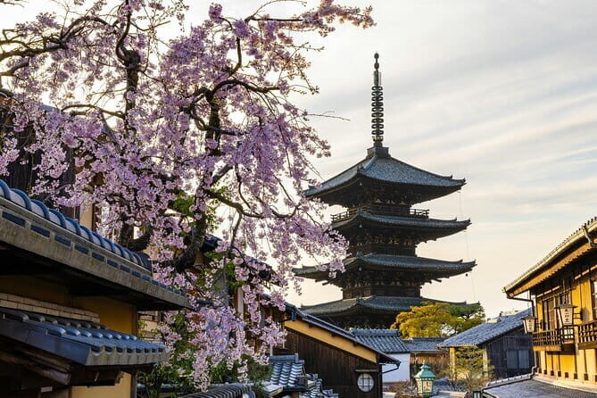 Kyoto Gion Early Morning Walking Tour - Who Will Love This Tour?