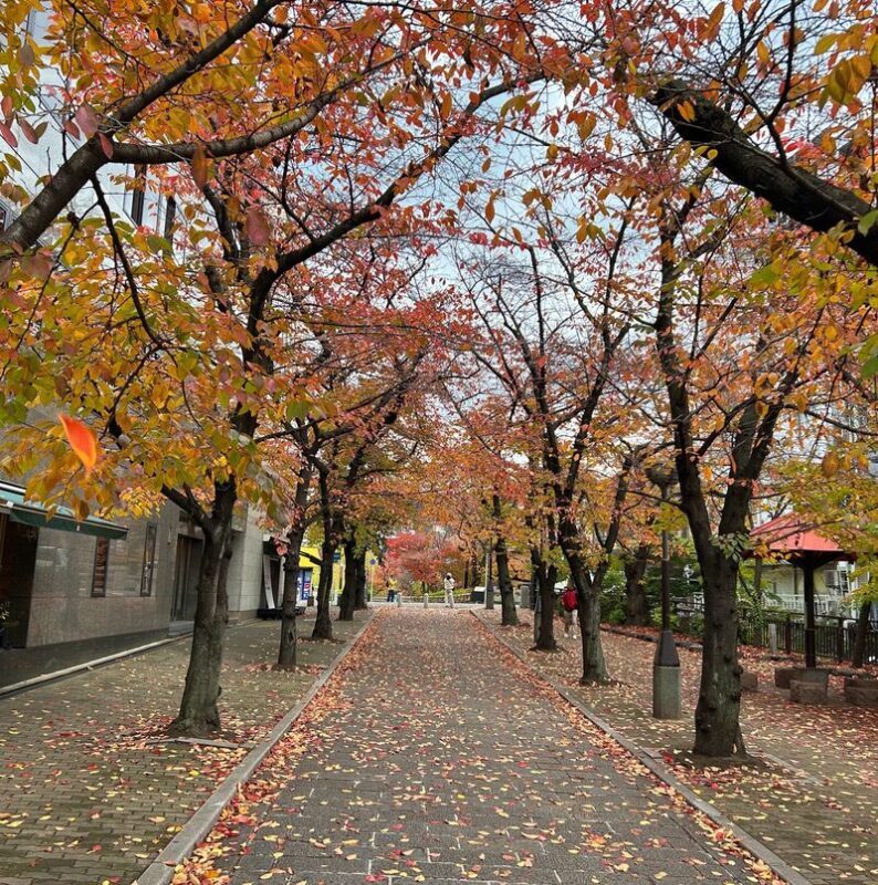 Kyoto Gion Geisha 2-Hour Cultural Tour with Hidden Gems - Is $12.65 good value?