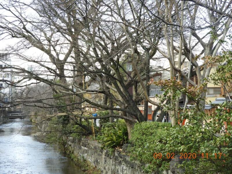 Kyoto: Gion Geisha District Guided Walking Tour - Exploring Kyoto’s Gion District: The Heart of Old Japan
