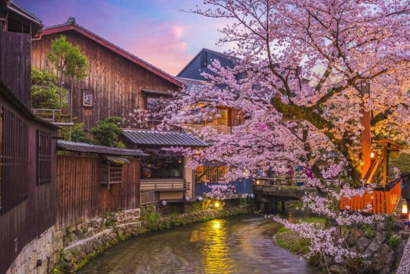 Kyoto: Gion Geisha District & Hidden Gems Walking Tour - Who Should Do This Tour?