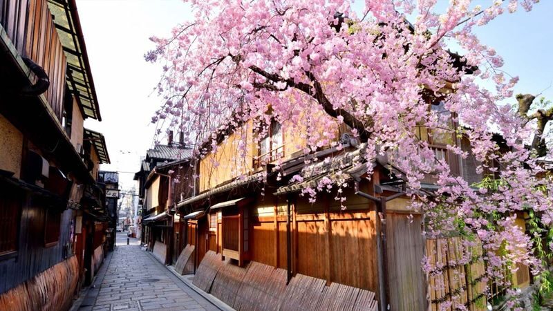 Kyoto: Gion Hidden Gems & Geisha Culture Tour - Yasaka Shrine brings history into the walk