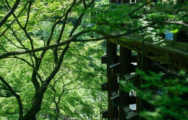 Kyoto, Gion & Nara: Culture & Heritage Full-Day Tour - The Cost and Overall Value