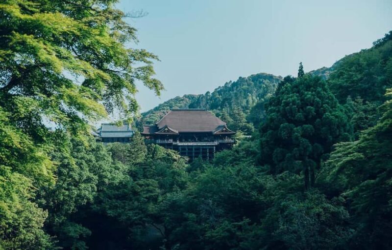 Kyoto, Gion & Nara: Culture & Heritage Full-Day Tour - The Sum Up