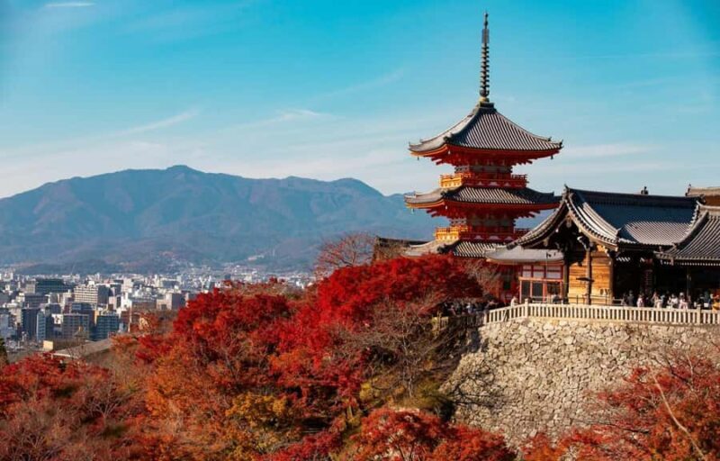 Kyoto, Gion & Nara: Culture & Heritage Full-Day Tour - Good To Know