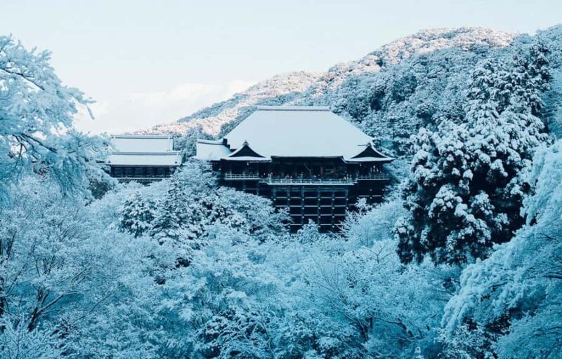 Kyoto, Gion & Nara: Culture & Heritage Full-Day Tour - Frequently Asked Questions