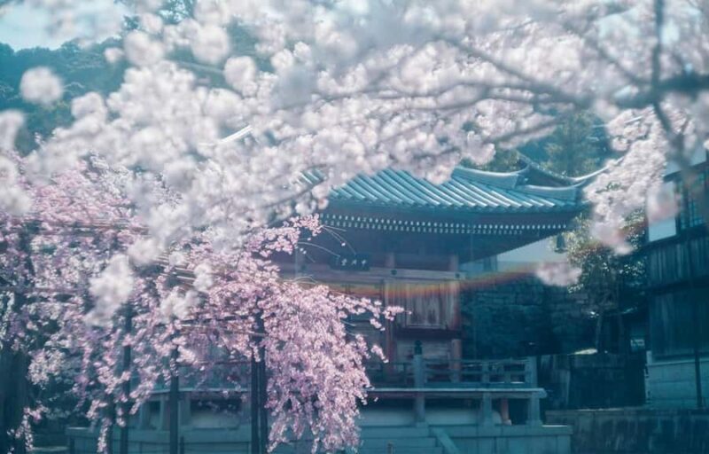 Kyoto, Gion & Nara: Culture & Heritage Full-Day Tour - Final Thoughts