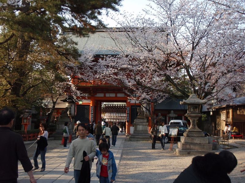 Kyoto Gion Night Guided Walking Tour (3 Hours) - Shirakawa-dori and Pontocho Park