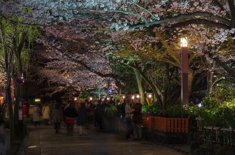 Kyoto Gion Night Guided Walking Tour (3 Hours) - What three hours on foot feels like